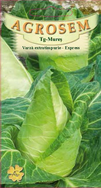 Varză extratimpurie - Express