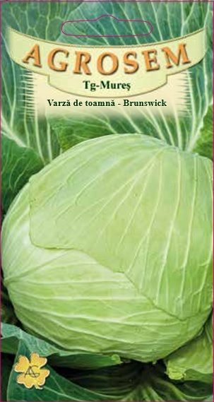 Varză de toamnă - Brunswick