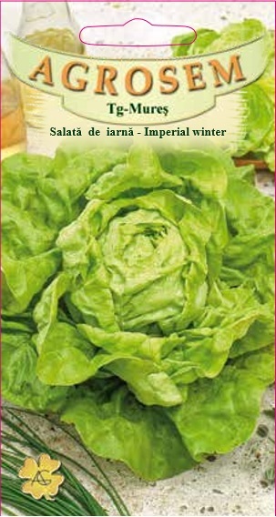 Salată de iarnă - Imperial Winter