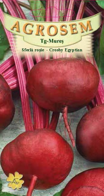 Sfeclă roșie - Crosby Egyptian