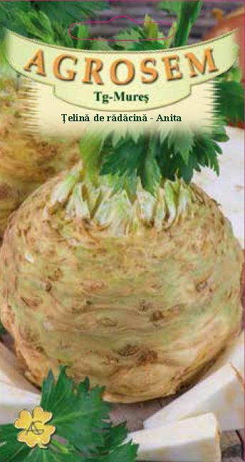Țelină de rădăcină - Anita