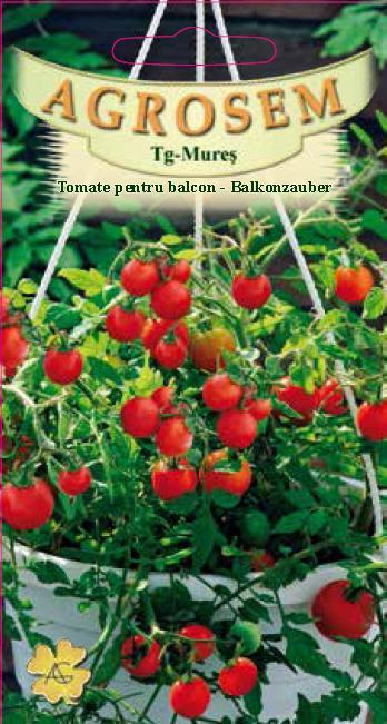 Tomate pentru balcon - Balkonzauber