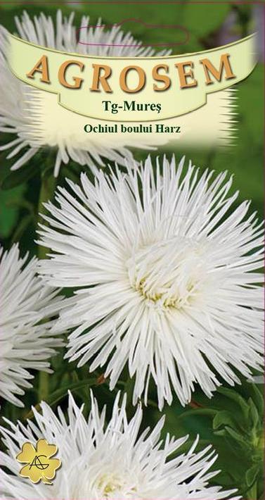 Ochiul boului Harz Alb