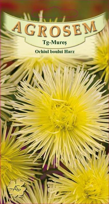 Ochiul boului Harz Galben