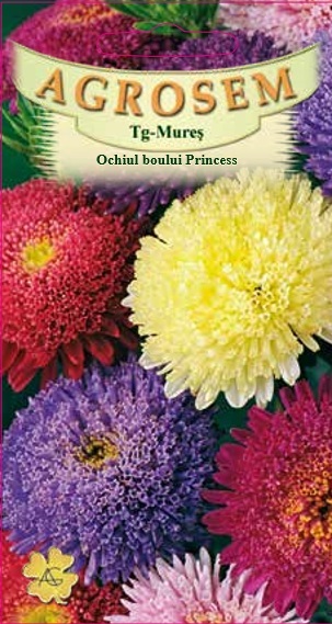 Ochiul boului princess