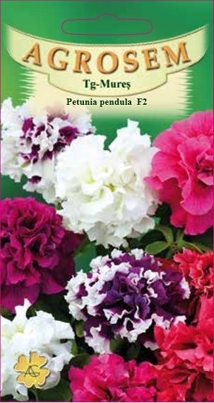 Petunia curgătoare pendula polka F2