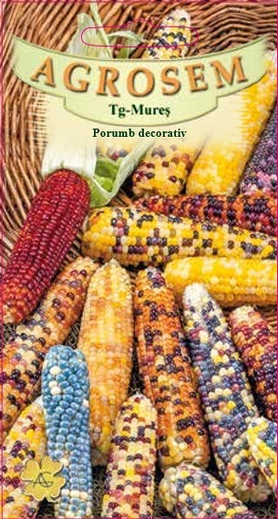 Porumb decorativ