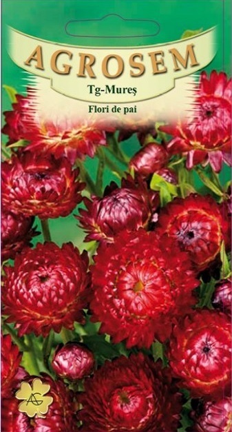Flori de pai roșii