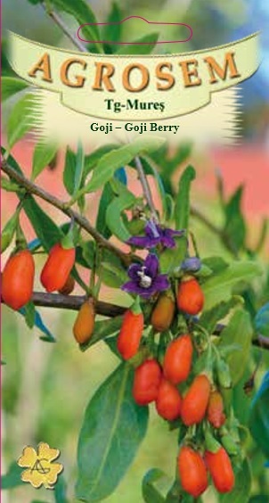 Goji- Goji Berry