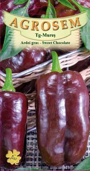 Ardei gras -Sweet Chocolate