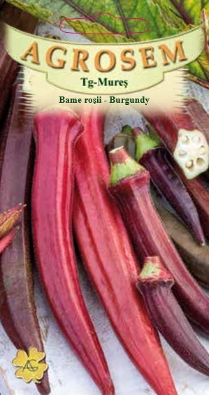 Bame roşii-Burgundy
