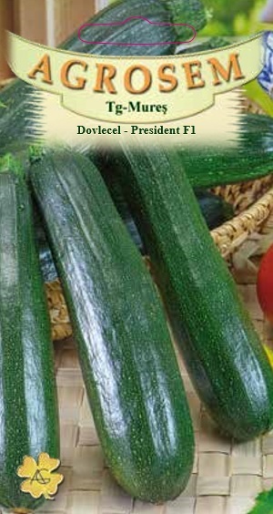 Dovlecel Zucchini - President F1
