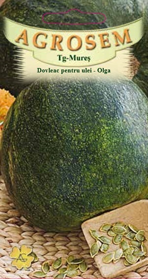 Dovleac pentru ulei-Olga