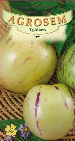 Pepino