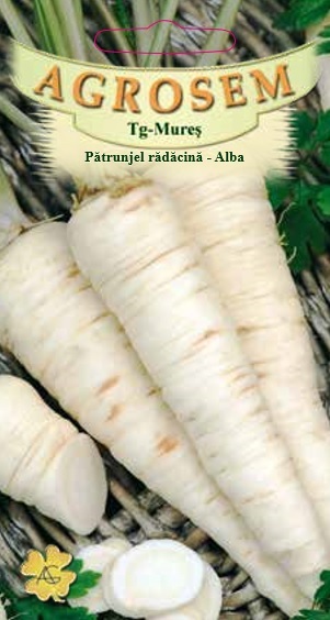 Pătrunjel rădăcină -Alba