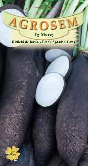 Ridichi de iarnă -Black Spanish Long