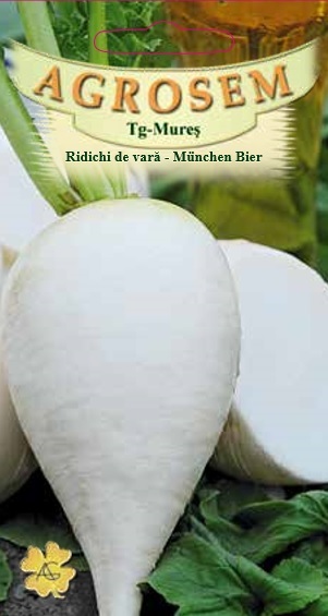 Ridichi de vară - München Bier