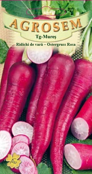 Ridichi de vară - Ostergruss Rosa