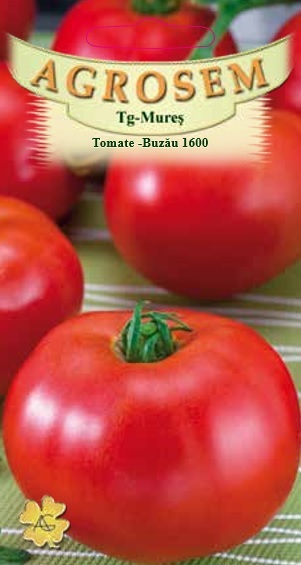 Tomate -Buzău 1600
