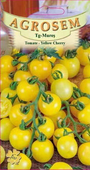 Tomate-Yellow Cherry