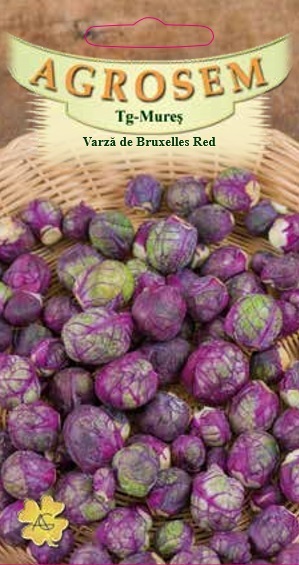 Varză de Bruxelles Red