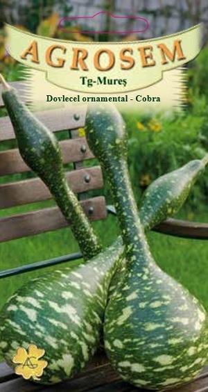 Dovlecel ornamental - Cobra