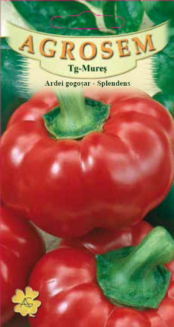 Ardei gogoşar - Splendens