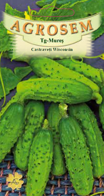 Castraveţi Wisconsin