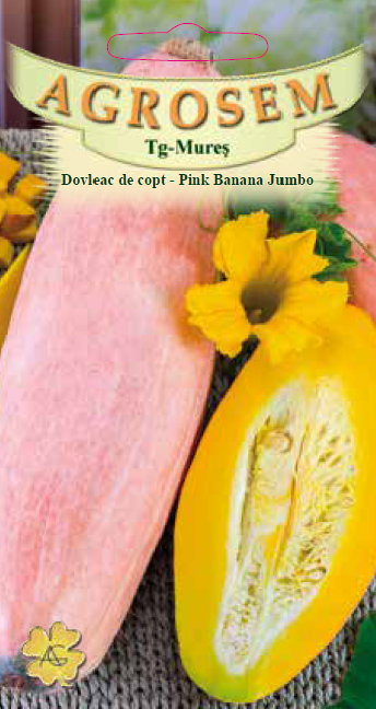 Dovleac de copt-Pink Banana Jumbo