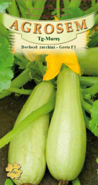 Dovlecel zucchini-Greta F1