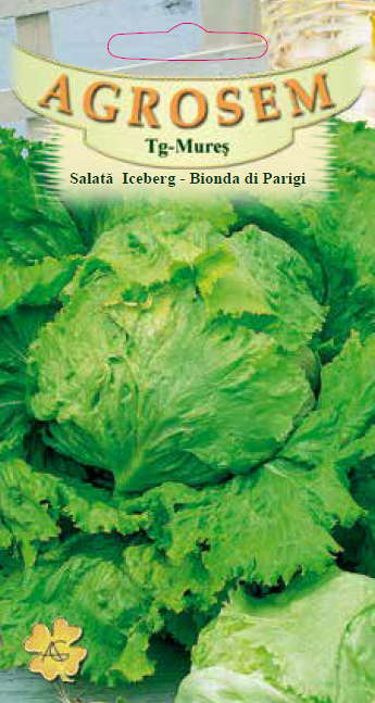 Salată Iceberg-Bionda di Parigi
