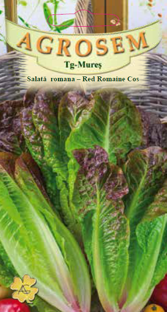 Salată romana-Red Romaine Cos