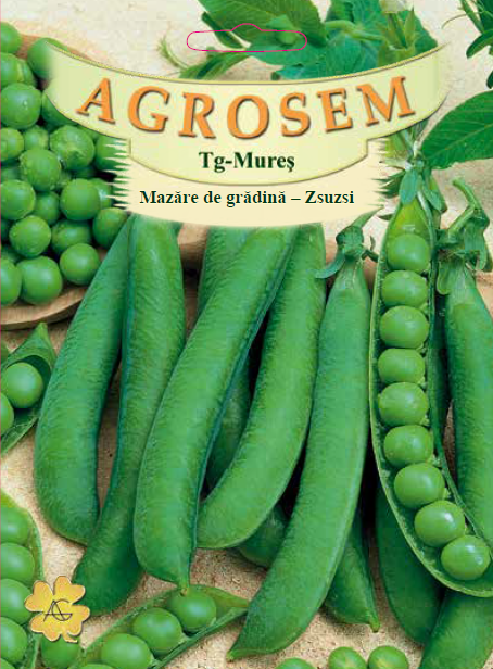 Mazăre de grădină-Zsuzsi