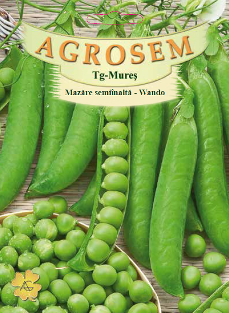 Mazăre semiînaltă-Wando